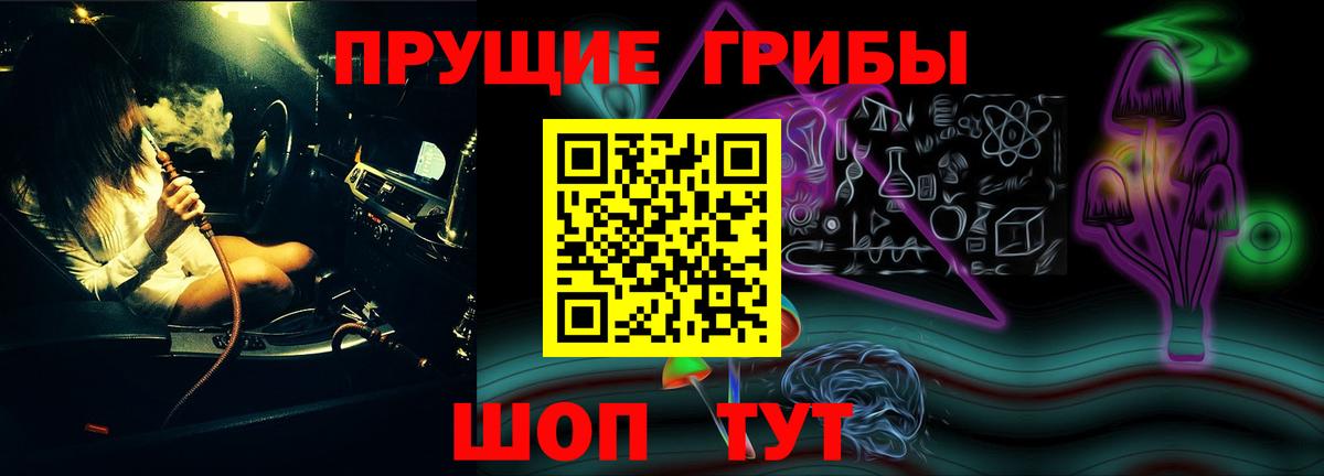 Галлюциногенные грибы MAGIC MUSHROOMS  Вход с VPN  Галлюциногенные грибы MAGIC MUSHROOMS  Ковров 